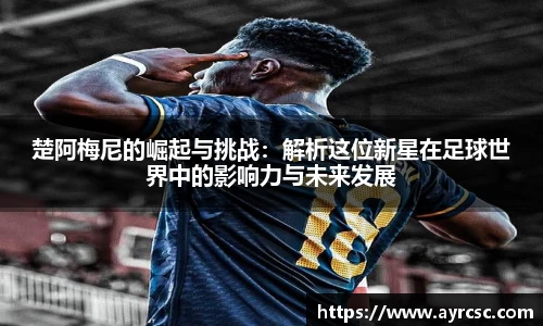 中欧体育