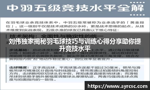 中欧体育