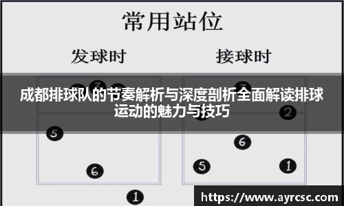 成都排球队的节奏解析与深度剖析全面解读排球运动的魅力与技巧